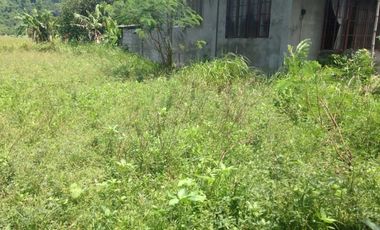 Farm Lot for sale, Naguilian, La Union, Philippines