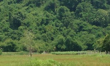 Farm Lot for sale, Naguilian, La Union, Philippines