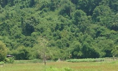 Farm Lot for sale, Naguilian, La Union, Philippines
