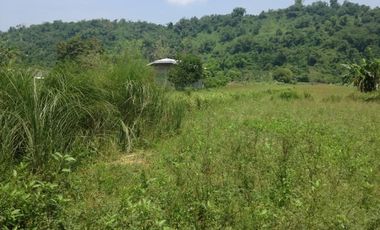 Farm Lot for sale, Naguilian, La Union, Philippines