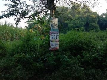 Tanah Mancilan-Mojoagung Bisa bangun perumahan or industri
