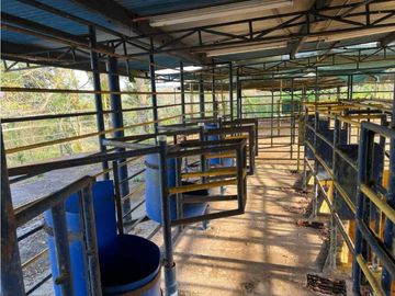VENDO 28HECTARES LECHERIA