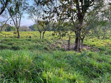 VENDO 28HECTARES LECHERIA