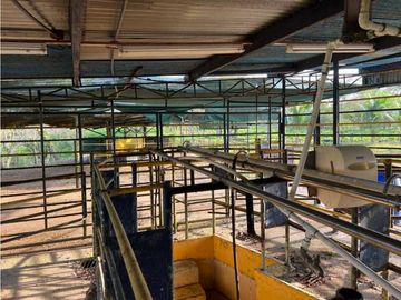 VENDO 28HECTARES LECHERIA