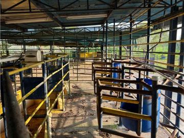 VENDO 28HECTARES LECHERIA