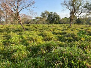 VENDO 28HECTARES LECHERIA