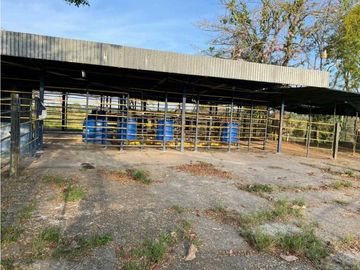VENDO 28HECTARES LECHERIA