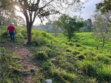 VENDO 28HECTARES LECHERIA