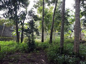 Jual Tanah 303m2 Batujamus Karanganyar