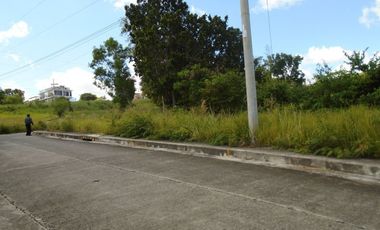 212 Sqm Overlooking Lot for Sale in Vista Grande Talisay Cebu City nearest to the Clubhouse