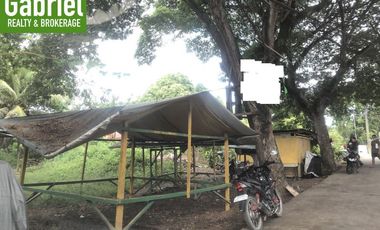 Warehouse Lot for Sale in Cordova, Cebu