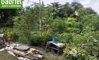 Warehouse Lot for Sale in Cordova, Cebu