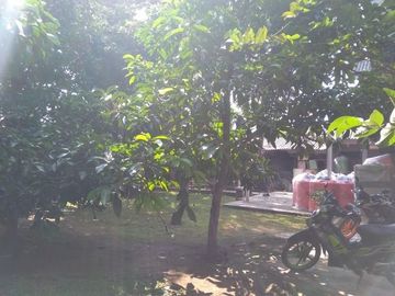 Rumah tua komersil, lokasi strategis di Serpong