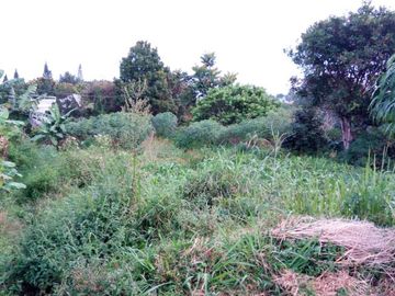 Tanah kaveling siap bangun Jl. Cihanjuang Rahayu Bandung | MNIZAR