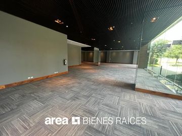 LEVANA /  Obra Gris /  LISTO PARA ENTREGA / SPGG