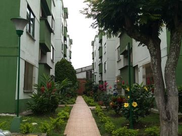 apartamento en arriendo en salomia. Cod A1360