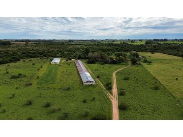 Vendo Campo de 6 Has con granja en San Justo, Entre Ríos.