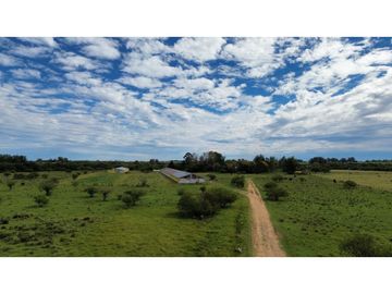 Vendo Campo de 6 Has con granja en San Justo, Entre Ríos.
