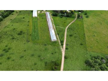 Vendo Campo de 6 Has con granja en San Justo, Entre Ríos.