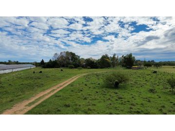 Vendo Campo de 6 Has con granja en San Justo, Entre Ríos.