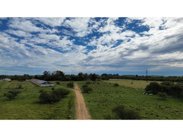 Vendo Campo de 6 Has con granja en San Justo, Entre Ríos.