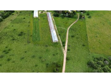 Vendo Campo de 6 Has con granja en San Justo, Entre Ríos.