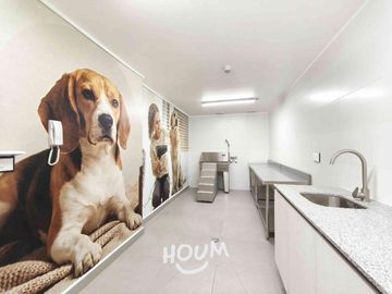 Departamento Metro Macul ID: 177372r