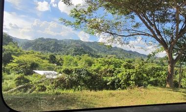 Overlooking 216 SQM Lot for Sale in Greenwoods near Talamban Cebu City with Mountain View