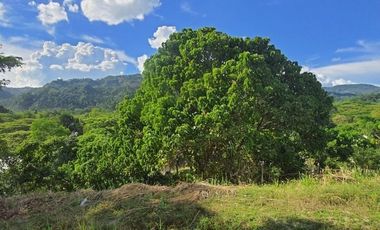 Overlooking 216 SQM Lot for Sale in Greenwoods near Talamban Cebu City with Mountain View