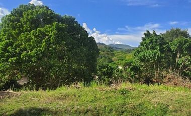 Overlooking 216 SQM Lot for Sale in Greenwoods near Talamban Cebu City with Mountain View