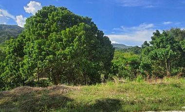 Overlooking 216 SQM Lot for Sale in Greenwoods near Talamban Cebu City with Mountain View