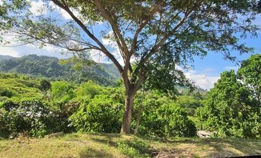 Overlooking 216 SQM Lot for Sale in Greenwoods near Talamban Cebu City with Mountain View
