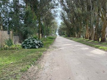 LATORRE PROP. VENDE CASA QUINTA SOBRE 3.900 M2 DE TERRENO - ZONA CLUB INDEPENDIENTE