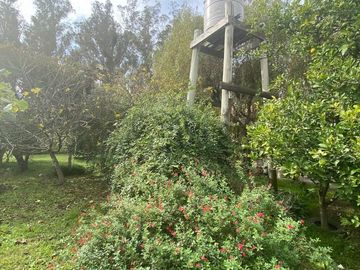 LATORRE PROP. VENDE CASA QUINTA SOBRE 3.900 M2 DE TERRENO - ZONA CLUB INDEPENDIENTE