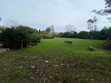 LATORRE PROP. VENDE CASA QUINTA SOBRE 3.900 M2 DE TERRENO - ZONA CLUB INDEPENDIENTE