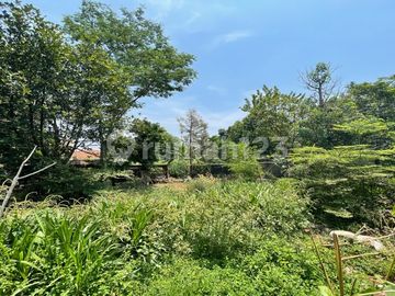 Tanah 1000M2 Cocok Untuk Bangun Perumahan Dekat St. Citayam