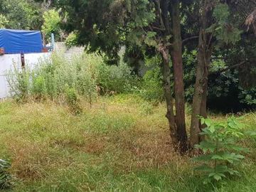 Casa en venta en Platanos