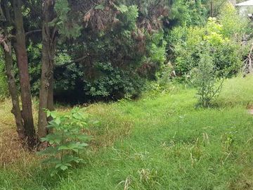 Casa en venta en Platanos