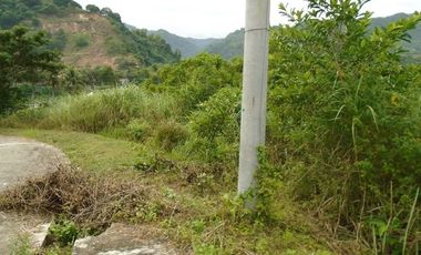 530 Sqm Big Residential Lot Sale in Greenwoods Subdivision near Talamban Cebu City with Mountain View