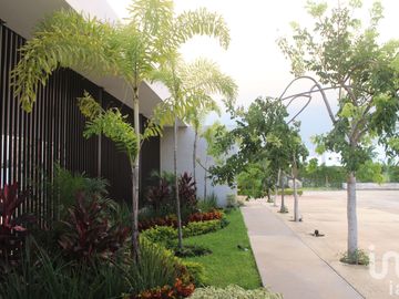 CASA EN VENTA  AL NORTE DE MERIDA CHOLUL