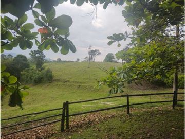 MARAVILLOSA FINCA EN QUIMBAYA