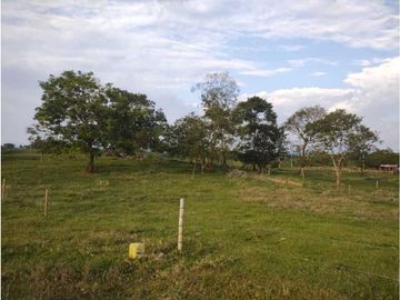 MARAVILLOSA FINCA EN QUIMBAYA