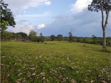 MARAVILLOSA FINCA EN QUIMBAYA