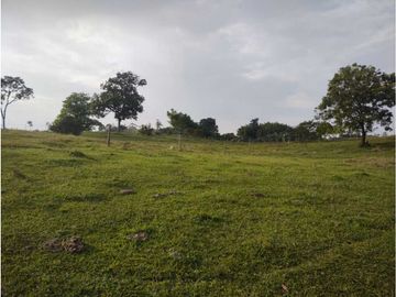 MARAVILLOSA FINCA EN QUIMBAYA