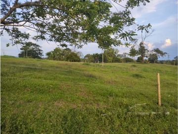 MARAVILLOSA FINCA EN QUIMBAYA