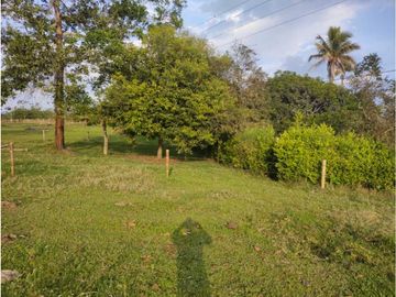 MARAVILLOSA FINCA EN QUIMBAYA
