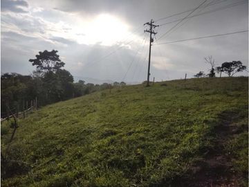 MARAVILLOSA FINCA EN QUIMBAYA