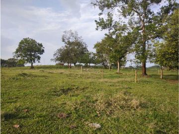 MARAVILLOSA FINCA EN QUIMBAYA