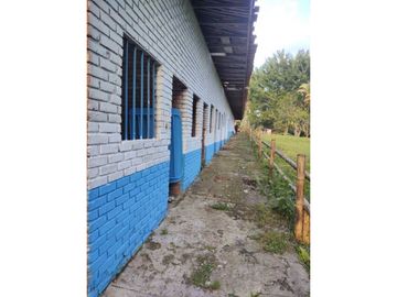 MARAVILLOSA FINCA EN QUIMBAYA