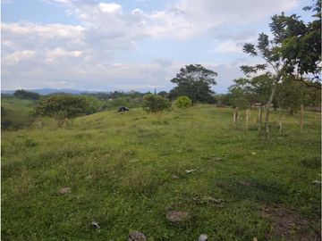 MARAVILLOSA FINCA EN QUIMBAYA